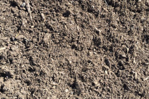 Potting Soil