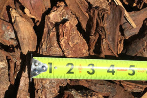 Large Bark