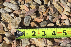 Palm Springs Gold (3/4")