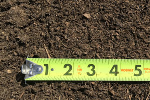 Topsoil