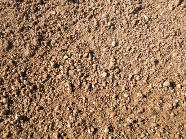 Fine 3/8″ Rose DG - Image 2