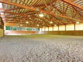 Horse Arena Sand