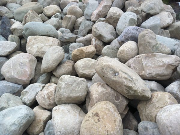 River Rock Cobble - Image 6